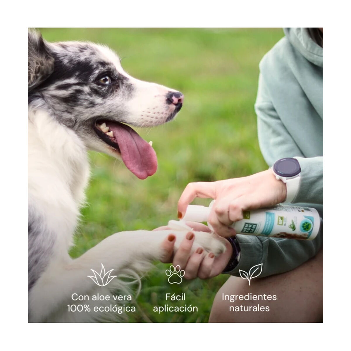 Lame de ras Menforsan