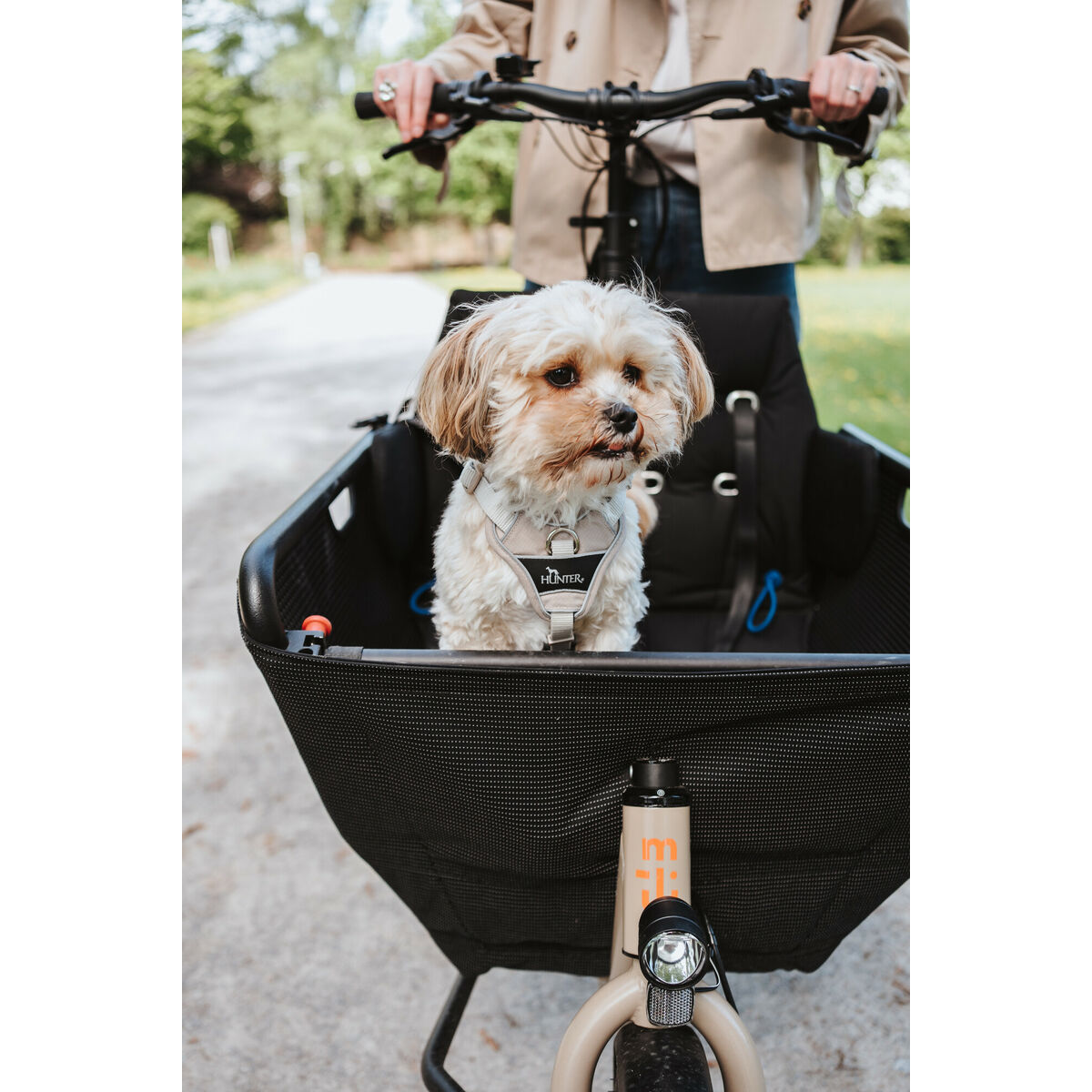 Ham pentru câini Hunter DIVO UP Bej M