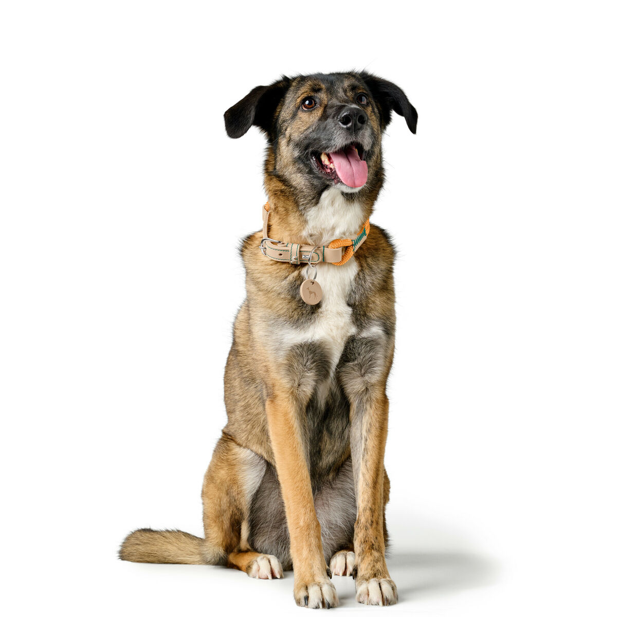 Zgardă pentru câini Hunter Malia Portocaliu 12 40-49 cm