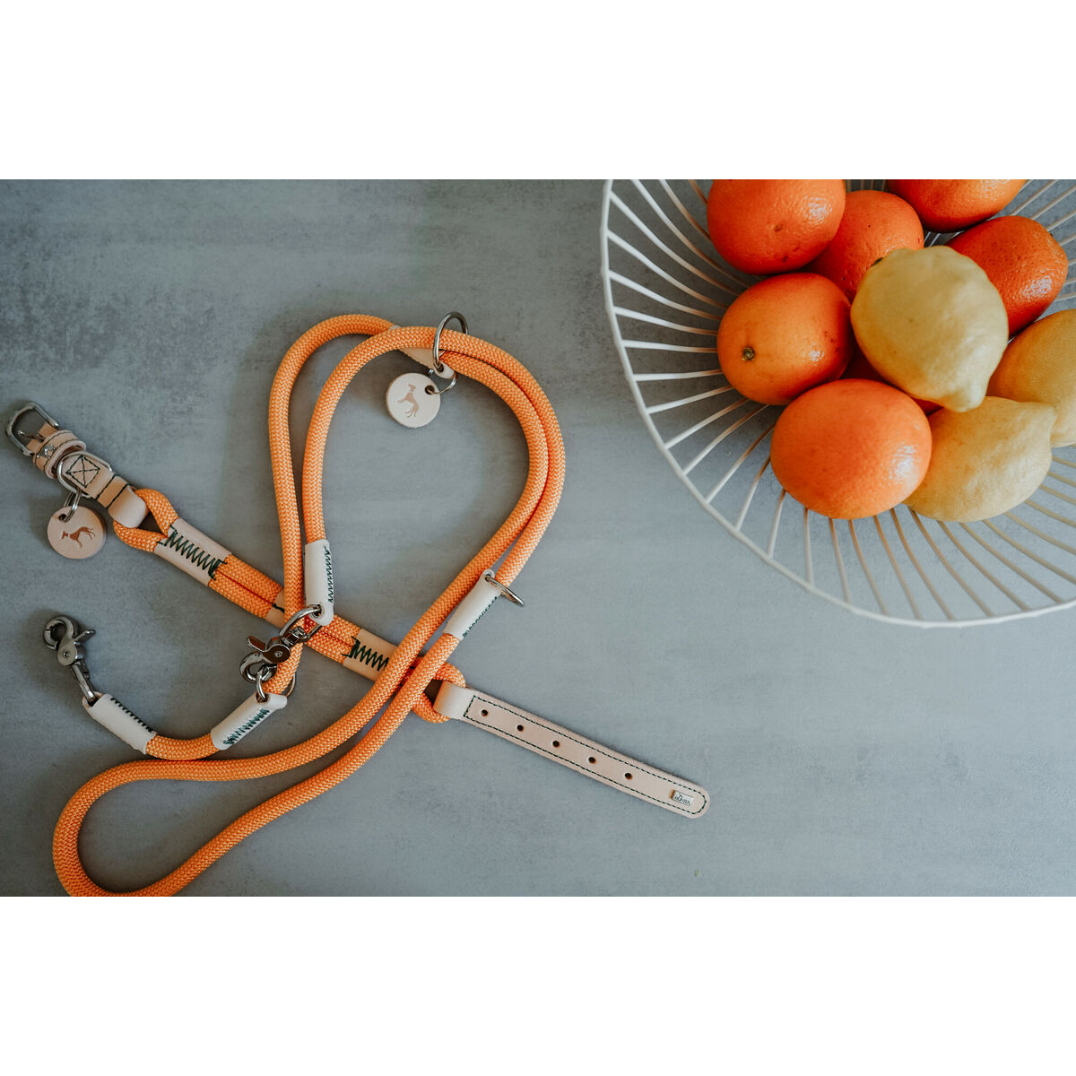 Zgardă pentru câini Hunter Malia Portocaliu M/L 45-54 cm