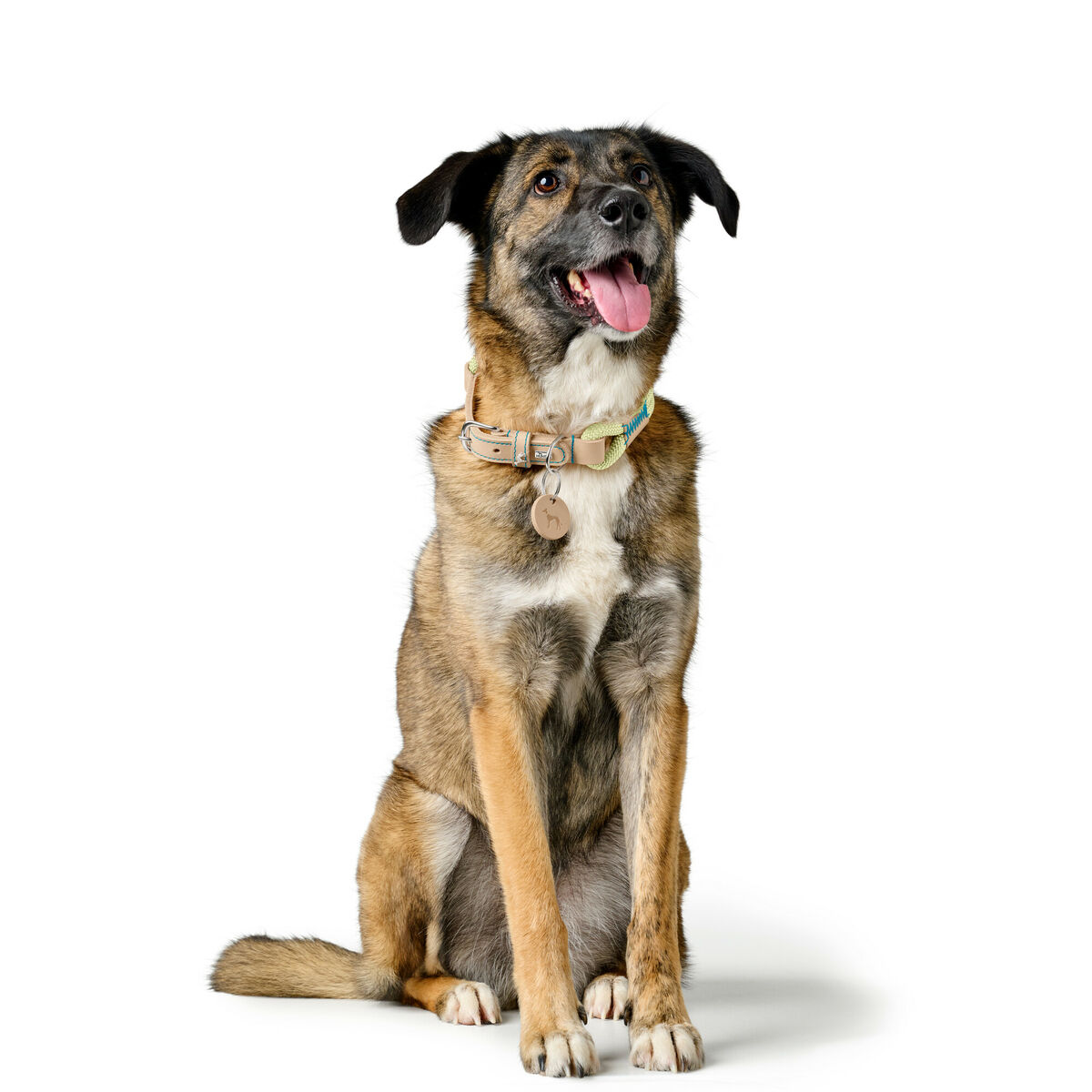 Zgardă pentru câini Hunter Malia Verde S/M 35-44 cm