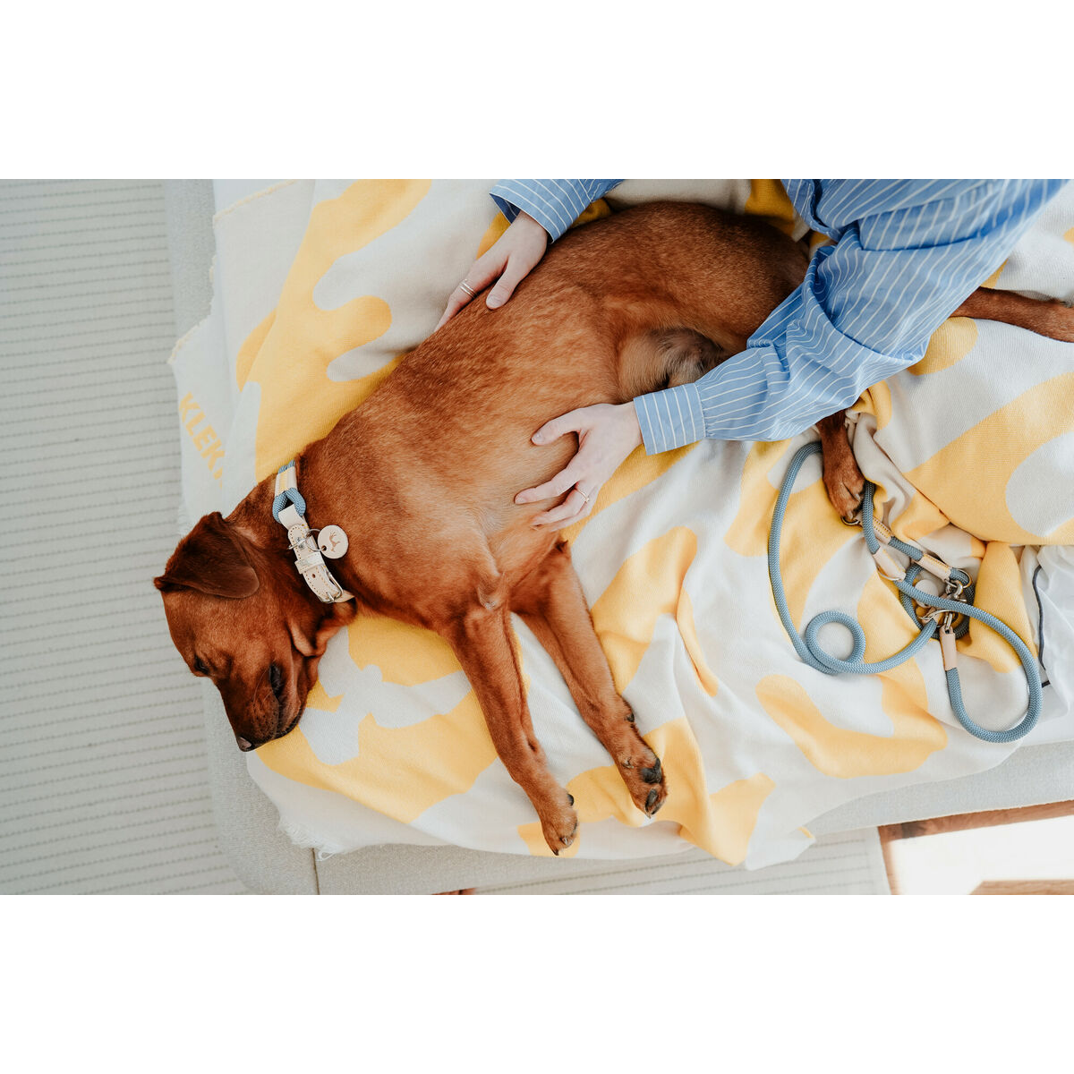 Zgardă pentru câini Hunter Malia Albastru M/L 45-54 cm