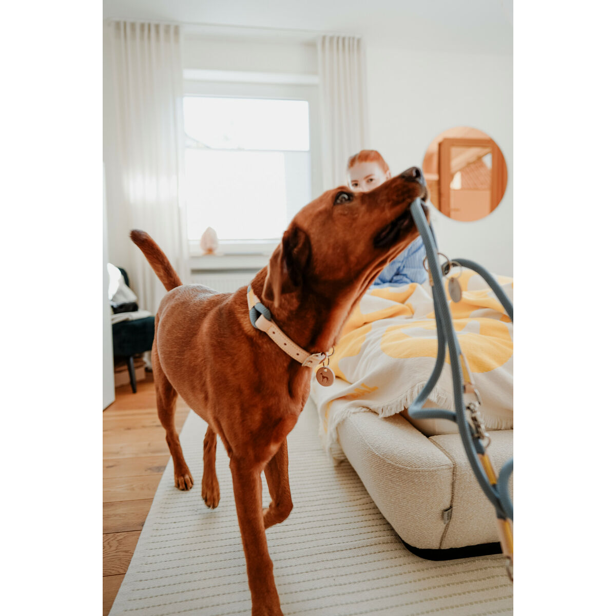 Lesă pentru câine Hunter MALIA Albastru 1 x 200 cm