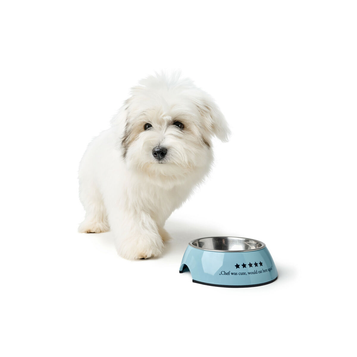 Dispozitiv de hrănire pentru câini Hunter Mayfair Albastru 350 ml