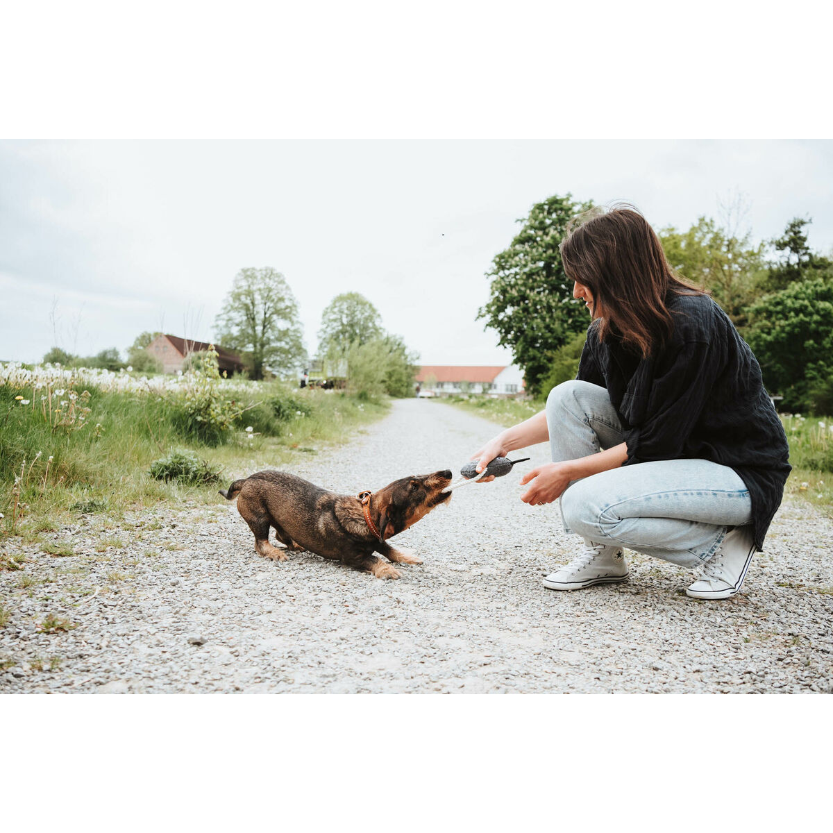 Jucărie pentru câini Hunter NEBRASKA Gri Poliester Cal