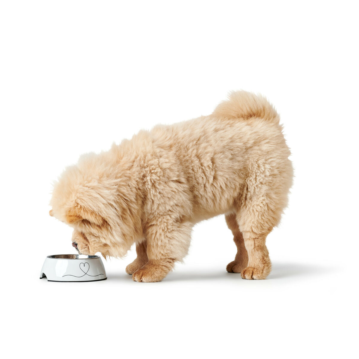 Dispozitiv de hrănire pentru câini Hunter Valencia Alb 350 ml