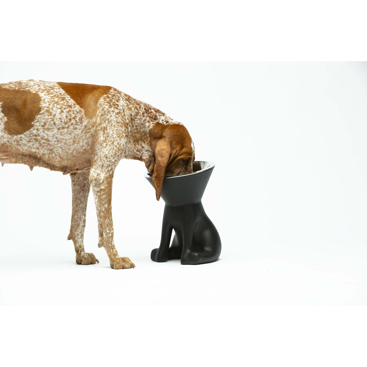 Dispozitiv de hrănire pentru câini United Pets Up Elisabeth Negru Oțel inoxidabil Polietilenă 1 L