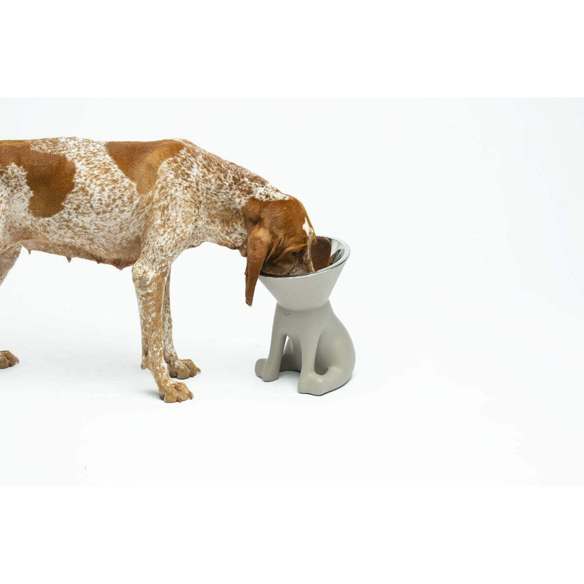 Dispozitiv de hrănire pentru câini United Pets Up Elisabeth Gri Oțel inoxidabil Polietilenă 1 L