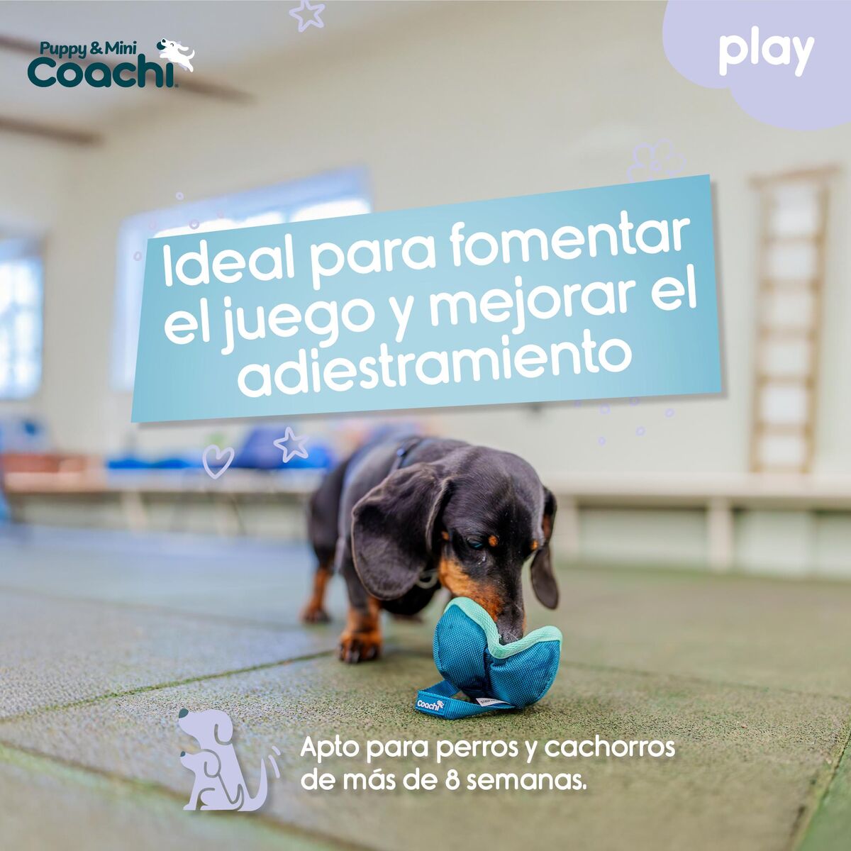 Ham pentru câini Coachi