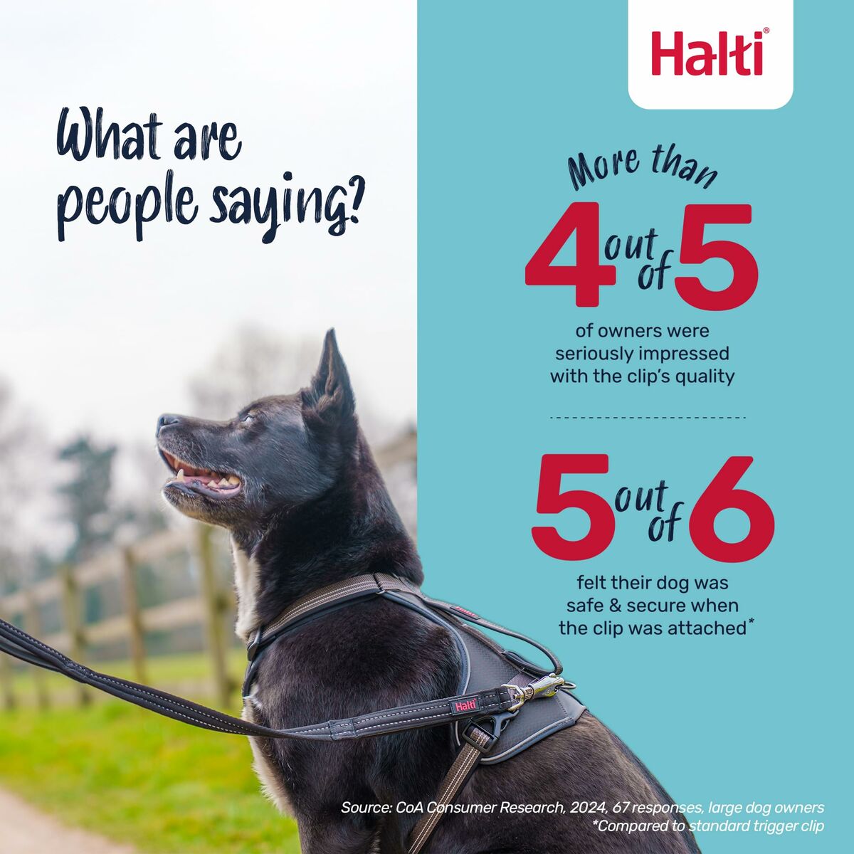 Lesă pentru dresaj Company of Animals HALTI BRIG SAFETY Negru