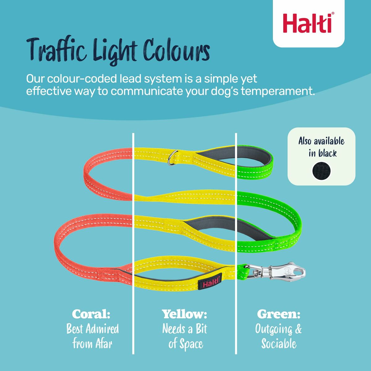 Ham pentru câini Company of Animals L