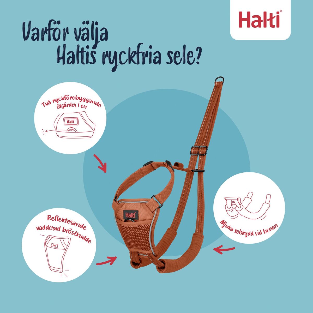 Ham pentru câini Company of Animals Orange 20