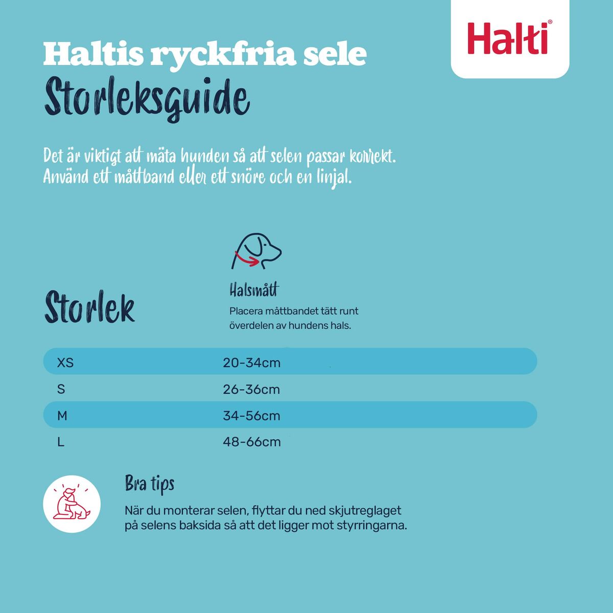 Ham pentru câini Company of Animals COBALT Albastru L