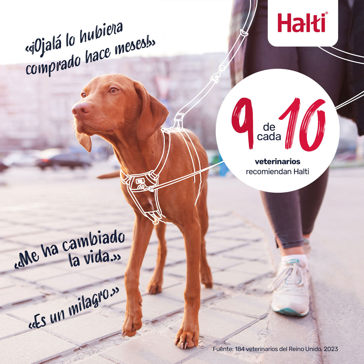 Ham pentru câini Company of Animals FOREST Verde L