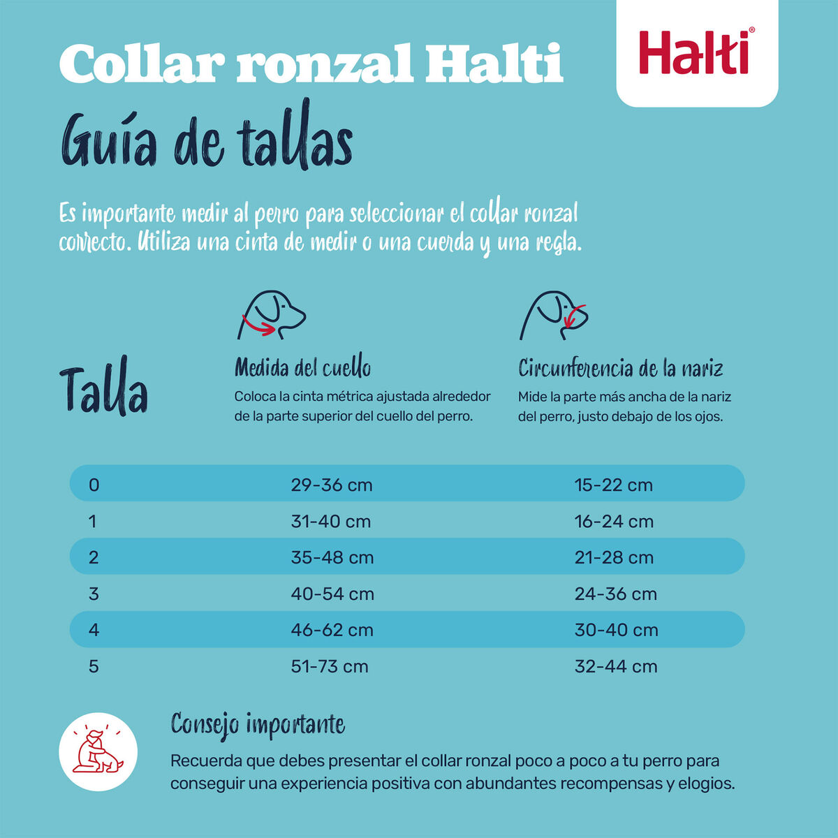 Botniță Company of Animals COBALT Albastru 3