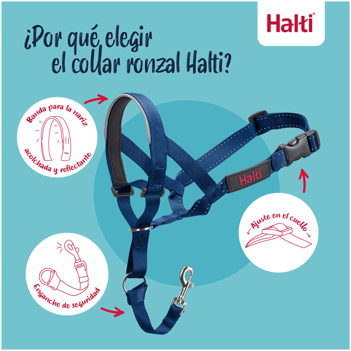 Botniță Company of Animals COBALT Albastru 3