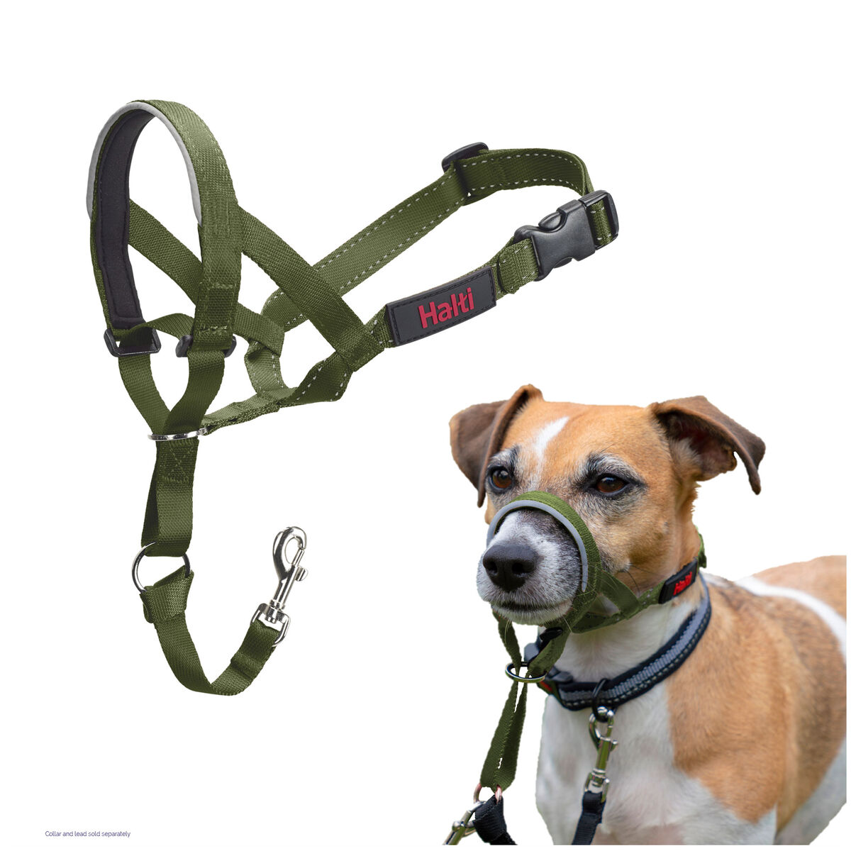 Botniță Company of Animals FOREST Verde Mărimea 1