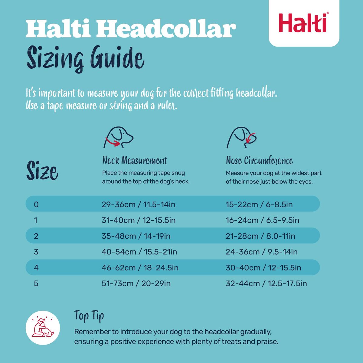 Botniță Company of Animals BURNT Portocaliu Mărimea 1