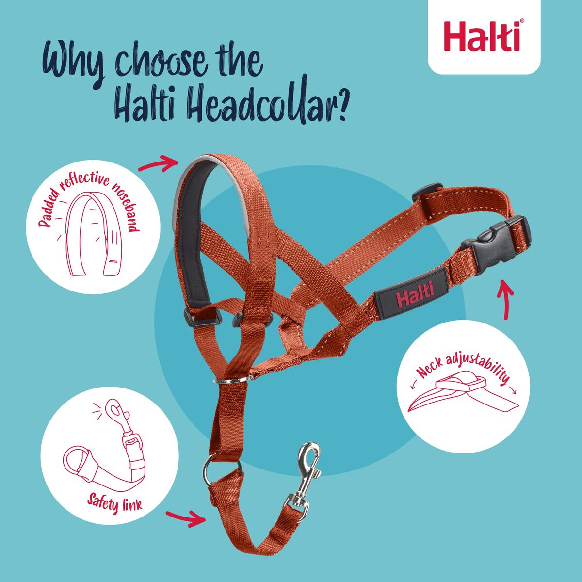 Botniță Company of Animals BURNT Portocaliu 2