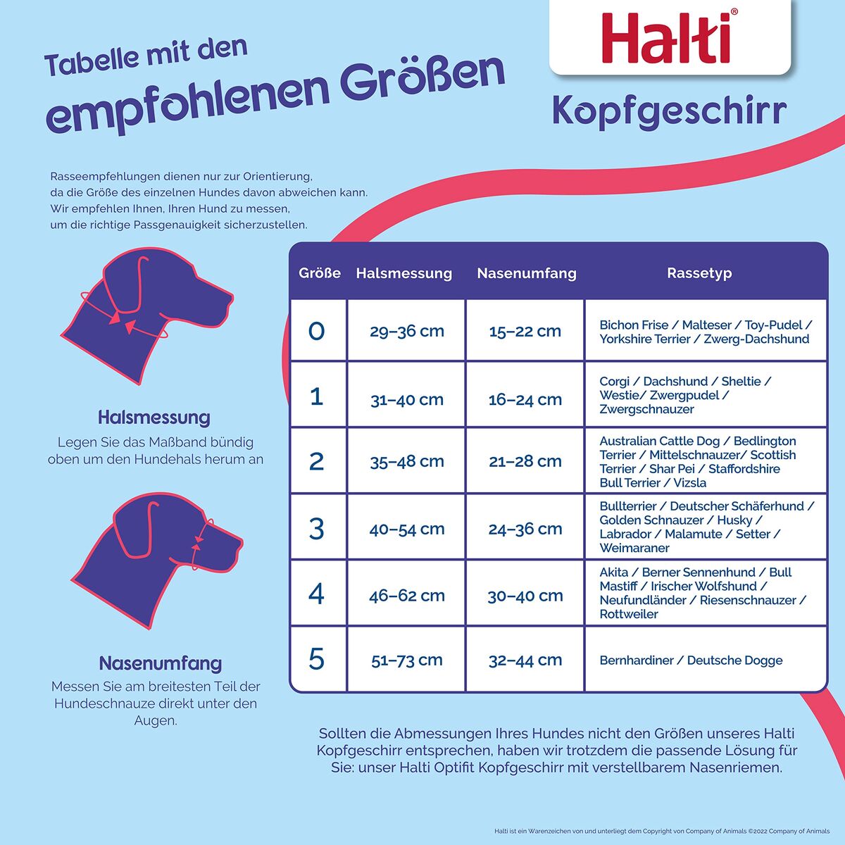 Botniță Company of Animals BURNT Portocaliu 3