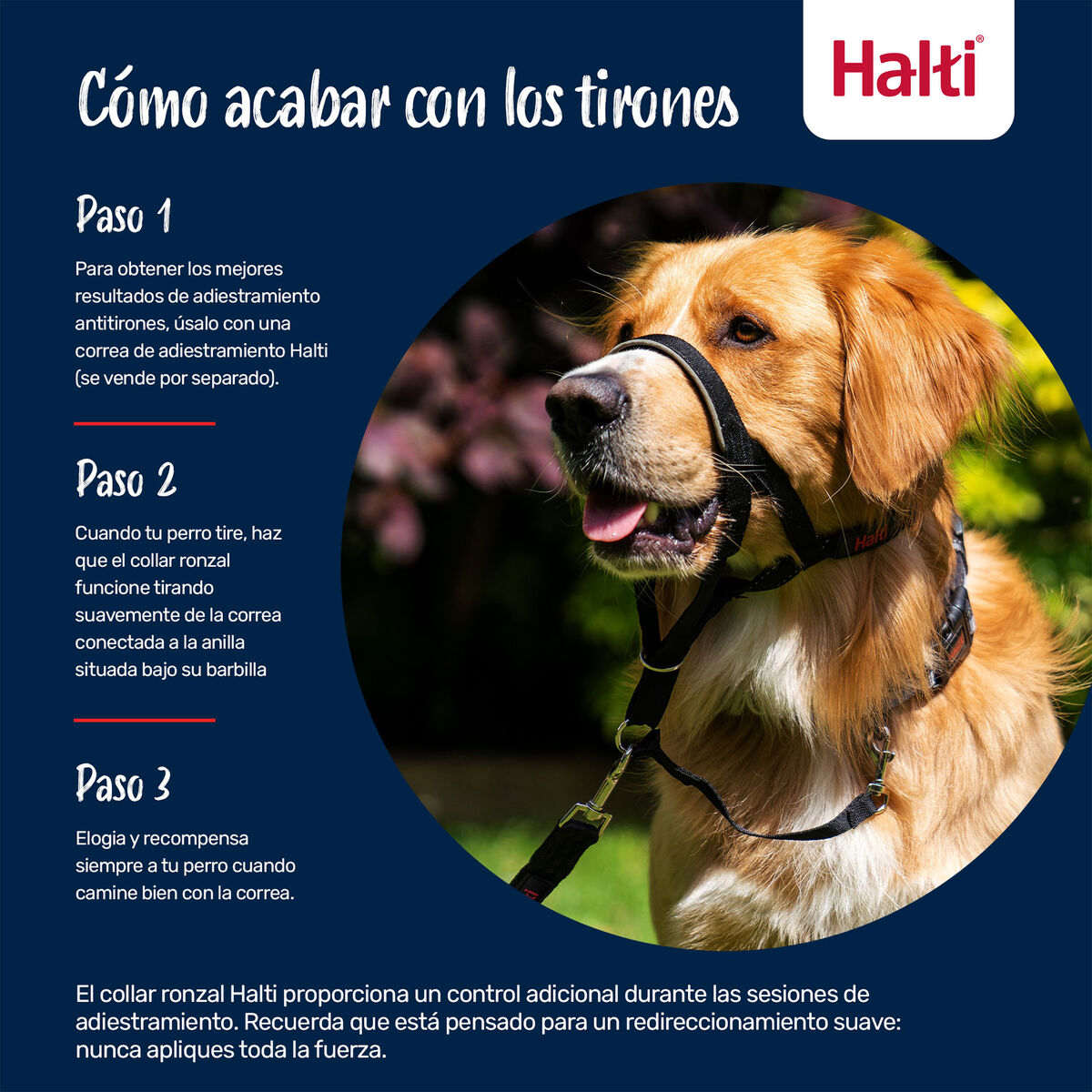 Botniță Company of Animals BURNT Portocaliu 4