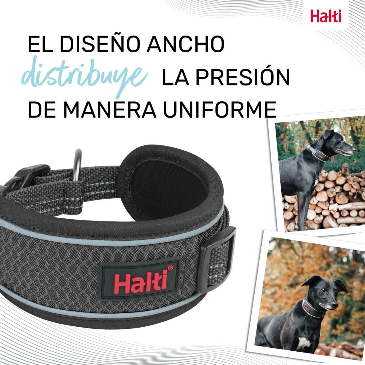 Zgardă pentru câini Company of Animals Gri