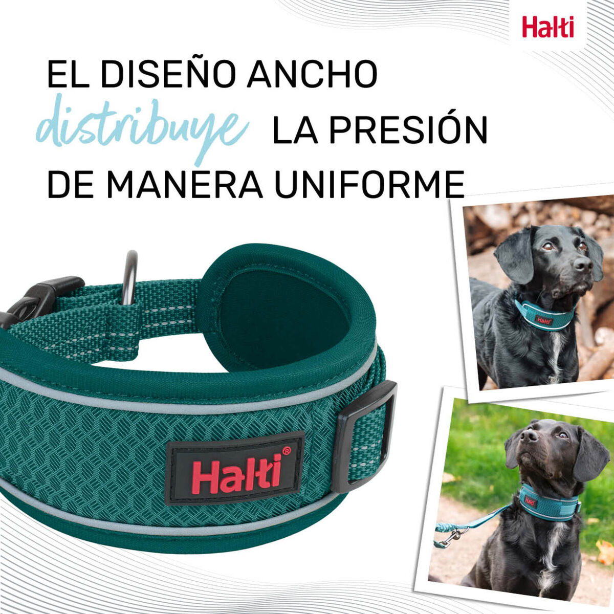 Zgardă pentru câini Company of Animals Turquoise