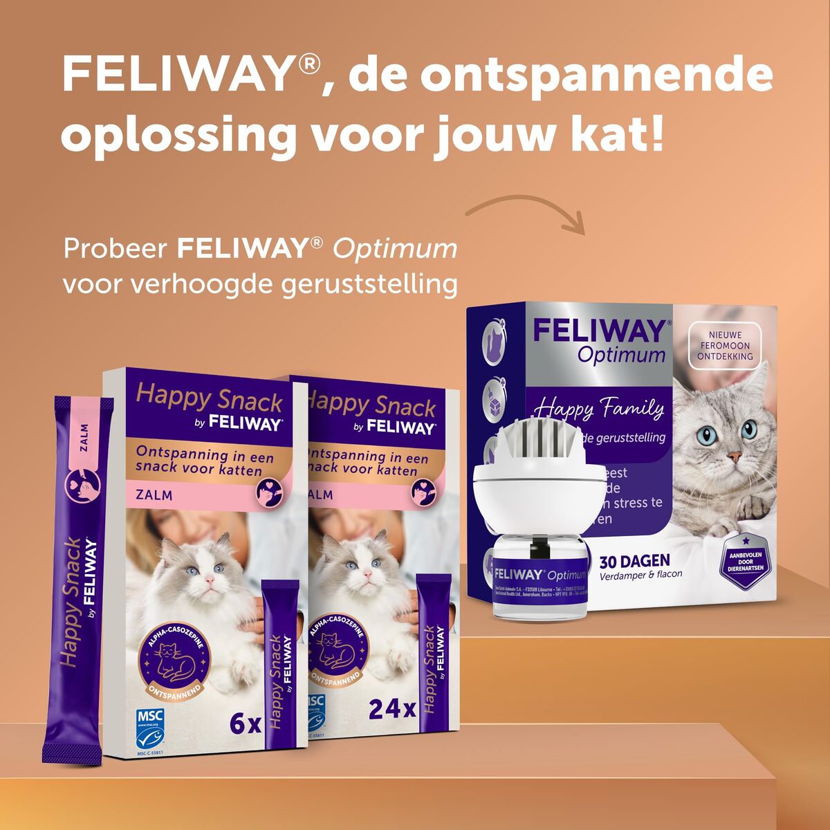 Hrană umedă Ceva 12 g