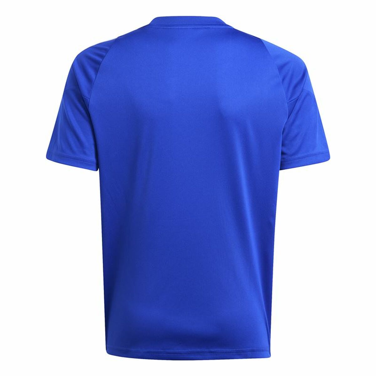 Tricou de fotbal Adidas Tiro24 Albastru