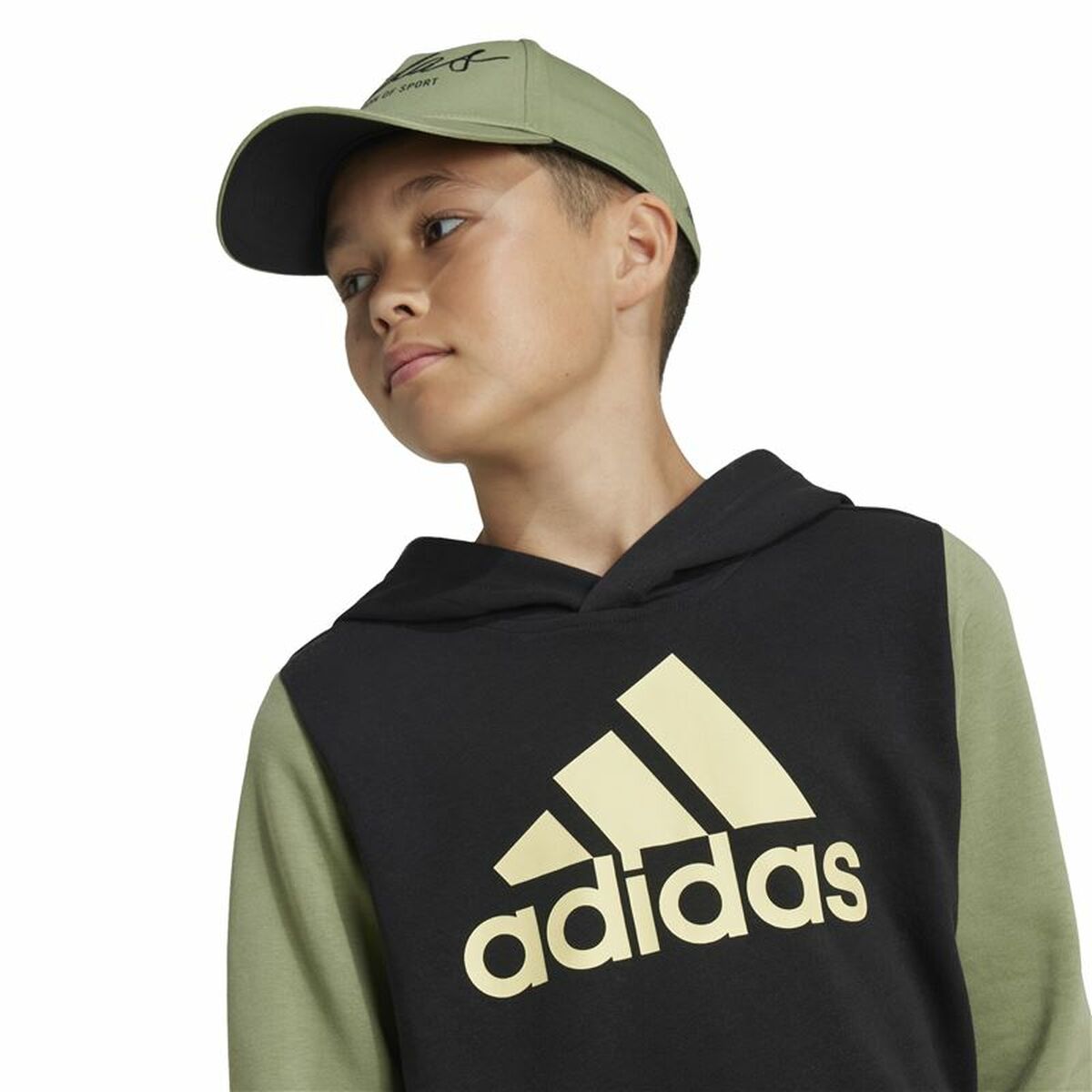 Hanorac cu Glugă Bărbați Adidas Essentials Verde