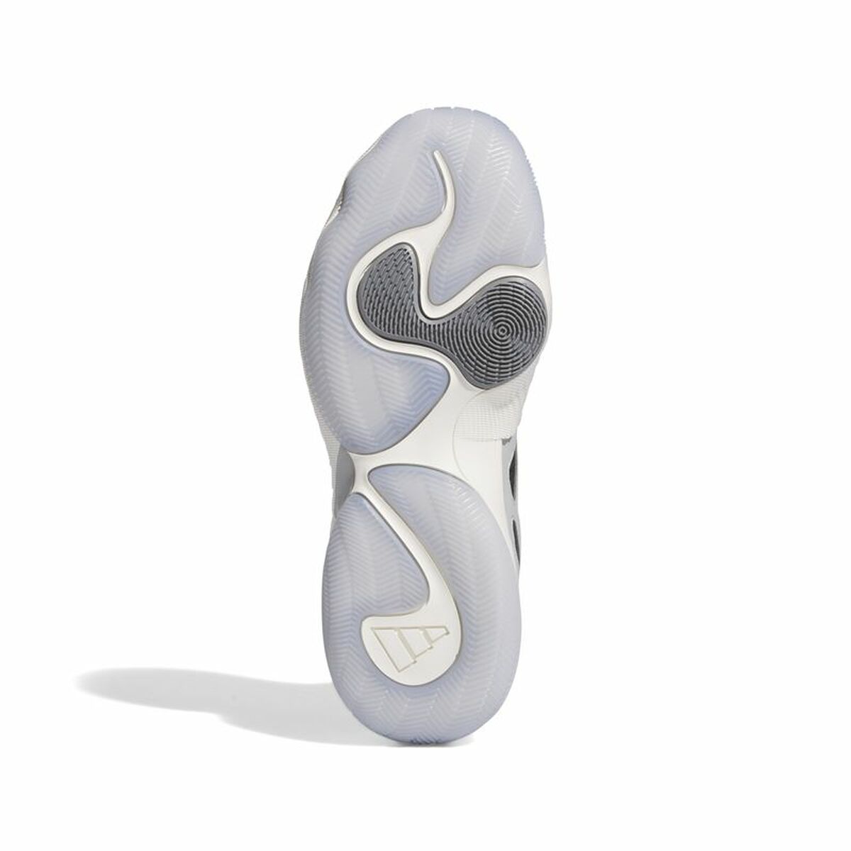 Încălțăminte de Baschet pentru Adulți Adidas Trae Unlimited Albastru