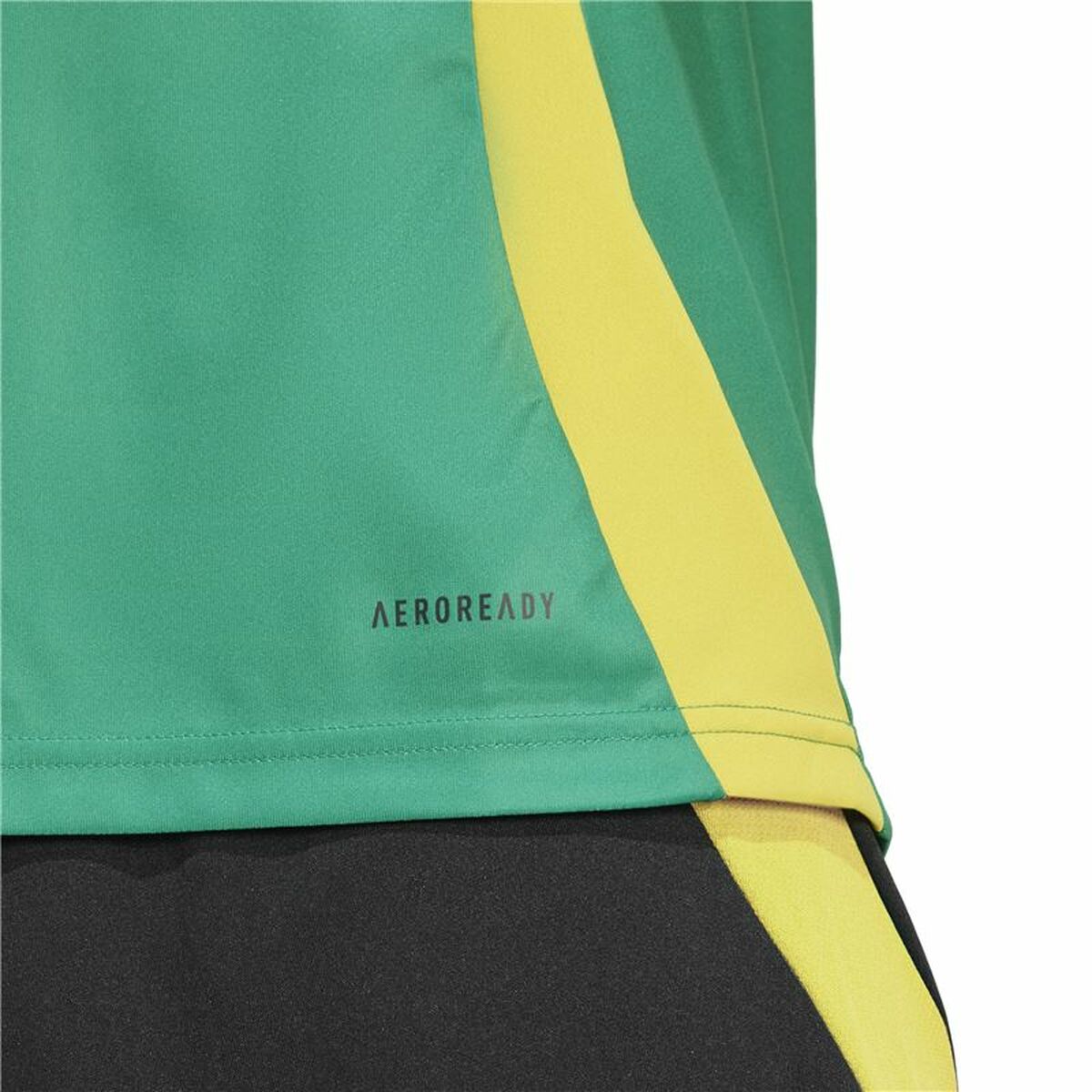 Tricou de fotbal Adidas Jamaica 2024 Pre Match Verde