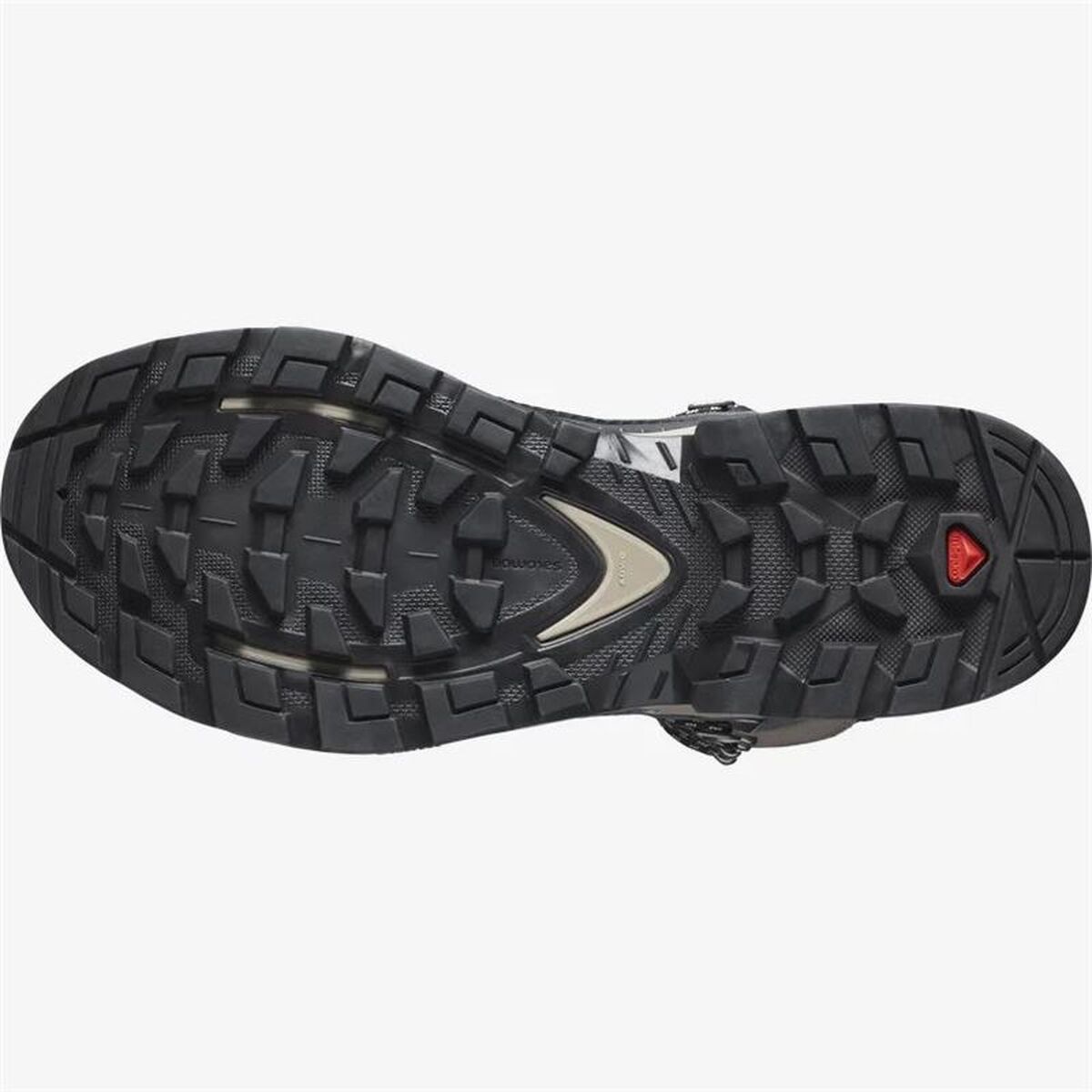 Cizme de munte Salomon Quest Element Gore-Tex Gri