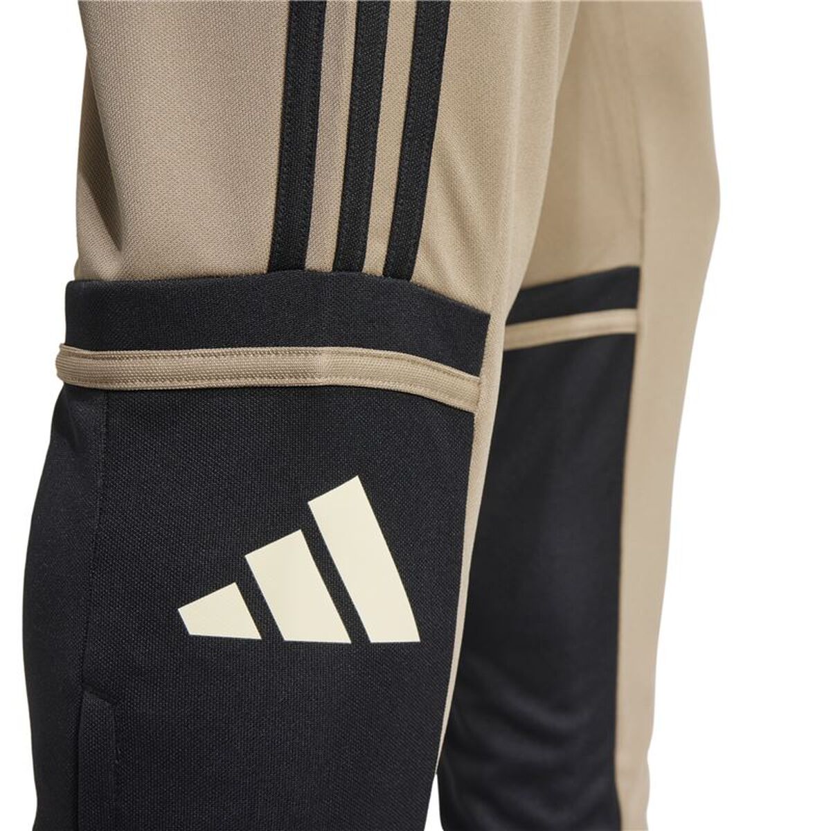 Pantalon de Antrenament de Fotbal pentru Adulți Adidas Squadra25 Tr