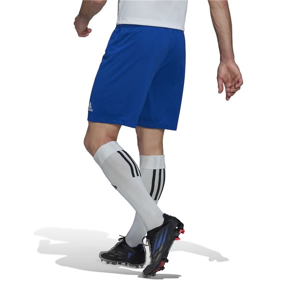 Pantalon de Antrenament de Fotbal pentru Adulți Adidas Ent22 Albastru