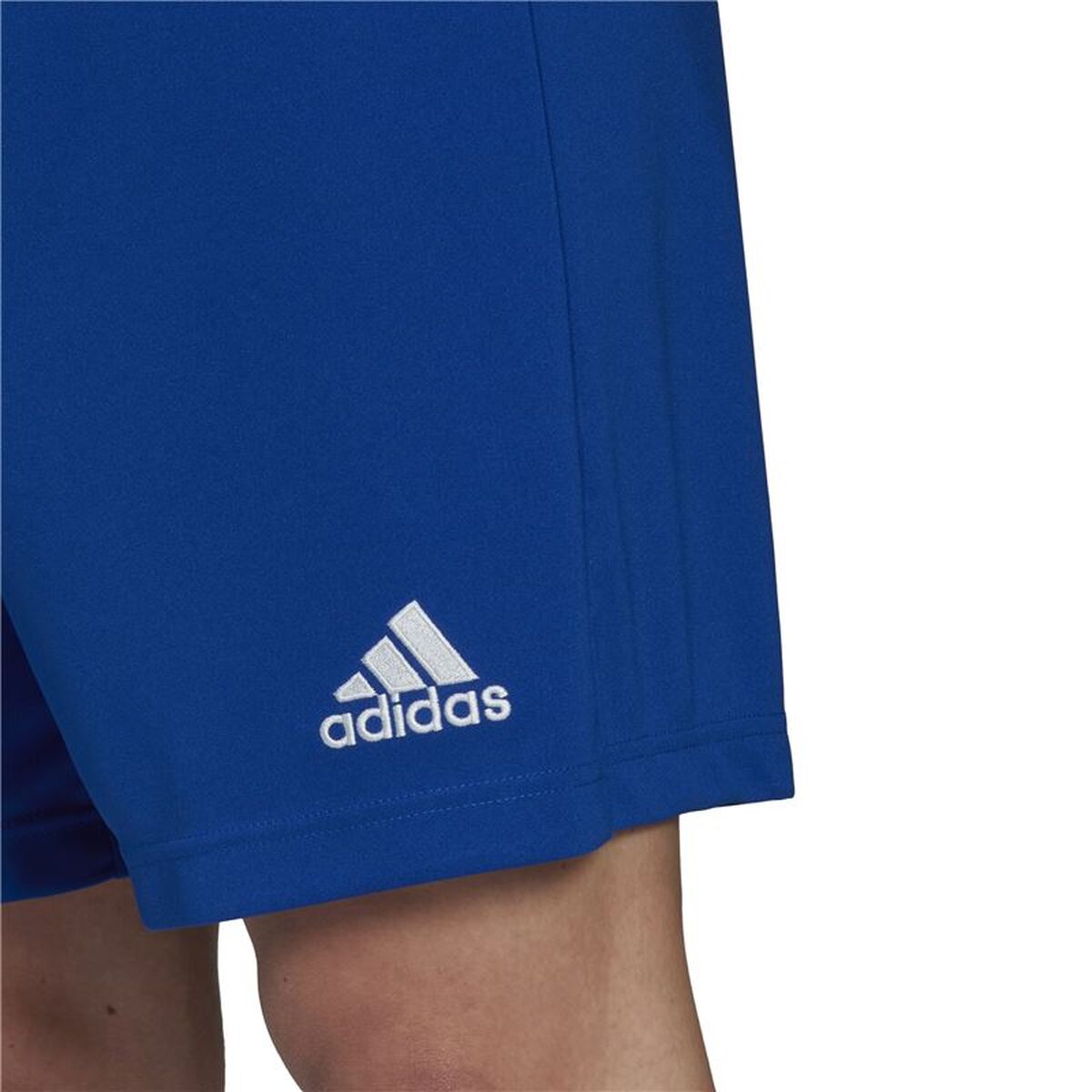 Pantalon de Antrenament de Fotbal pentru Adulți Adidas Ent22 Albastru