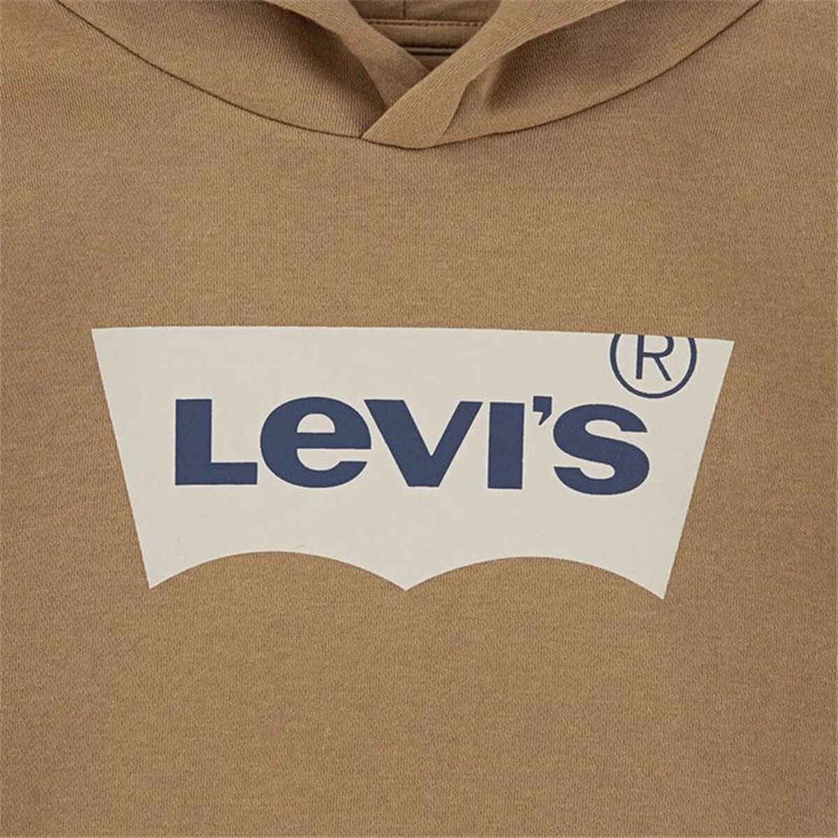 Hanorac cu Glugă Copii Levi's Lvb Batwing Screenprint Hoodie Maro