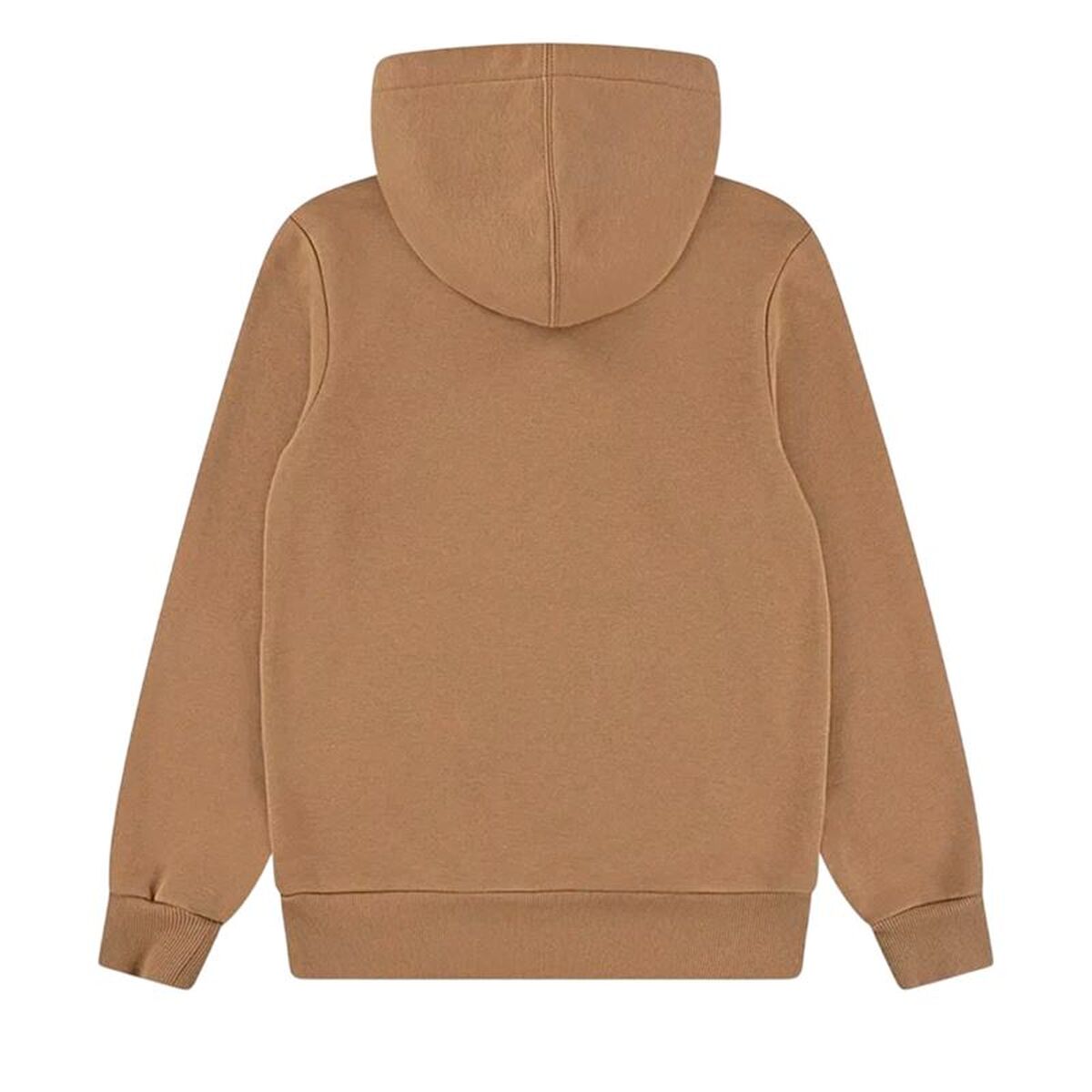 Hanorac cu Glugă Copii Levi's Batwing Screenprint Hoodie Maro