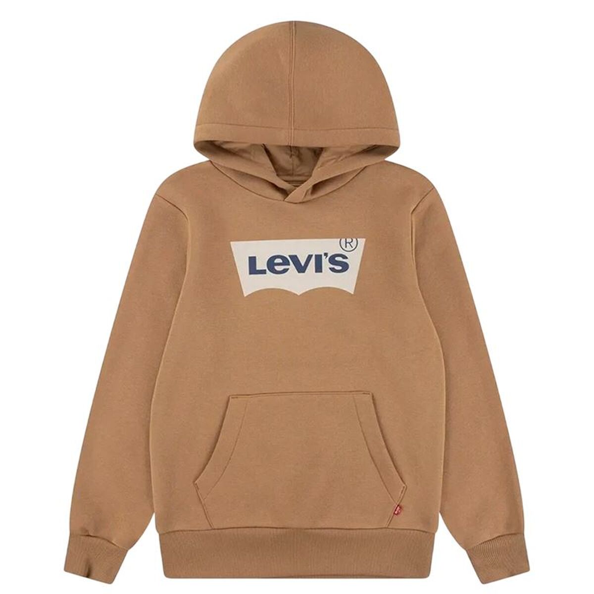 Hanorac cu Glugă Copii Levi's Batwing Screenprint Hoodie Maro