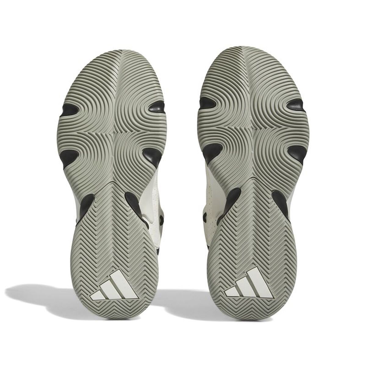 Încălțăminte de Baschet pentru Adulți Adidas IF5609 Negru