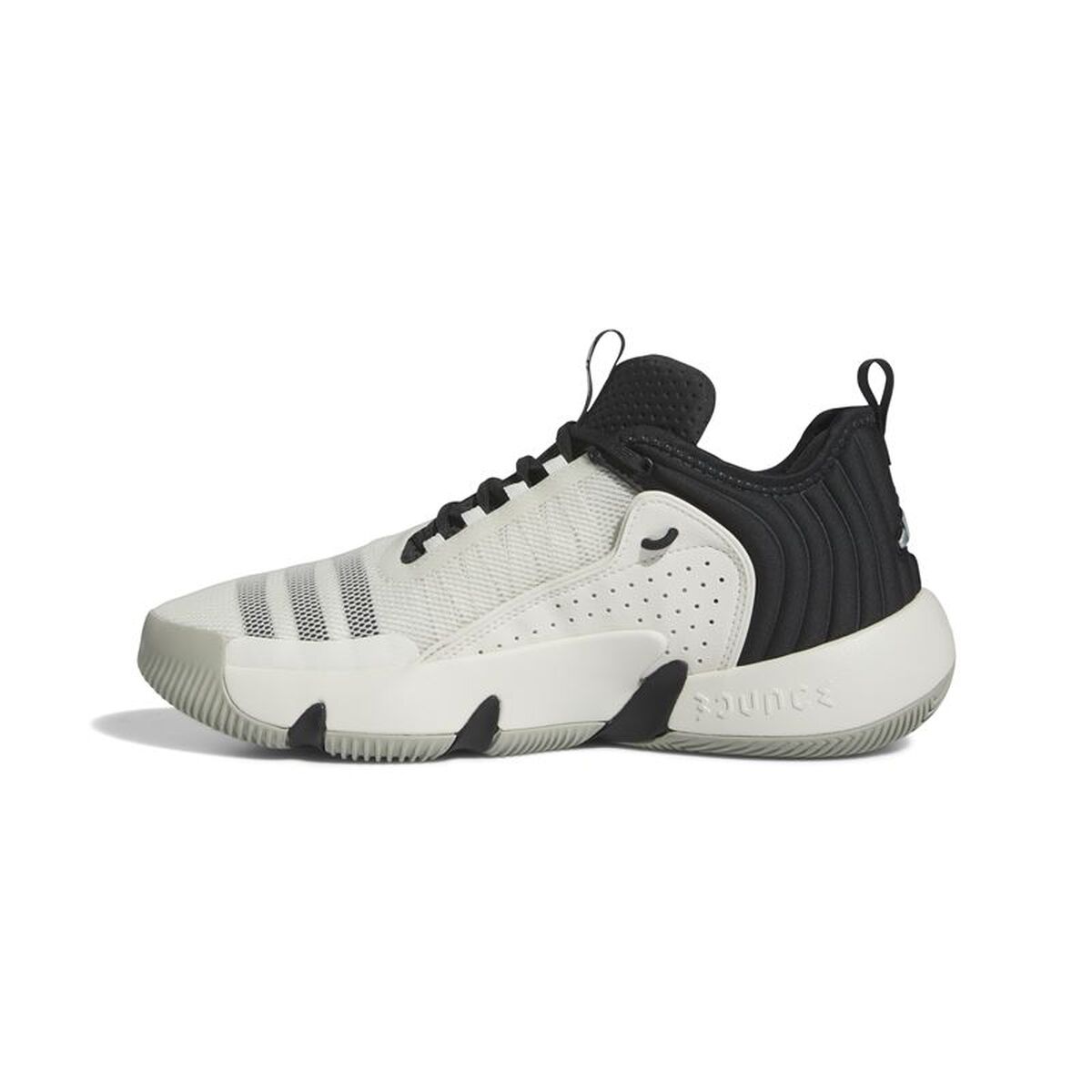 Încălțăminte de Baschet pentru Adulți Adidas IF5609 Negru