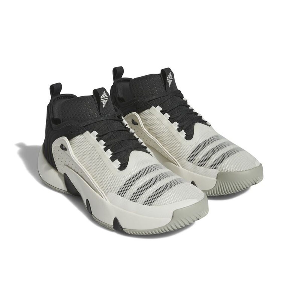 Încălțăminte de Baschet pentru Adulți Adidas IF5609 Negru