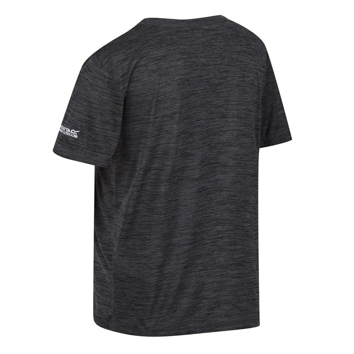 Tricou cu Mânecă Scurtă pentru Copii Regatta RKT143-4ZQ Gri