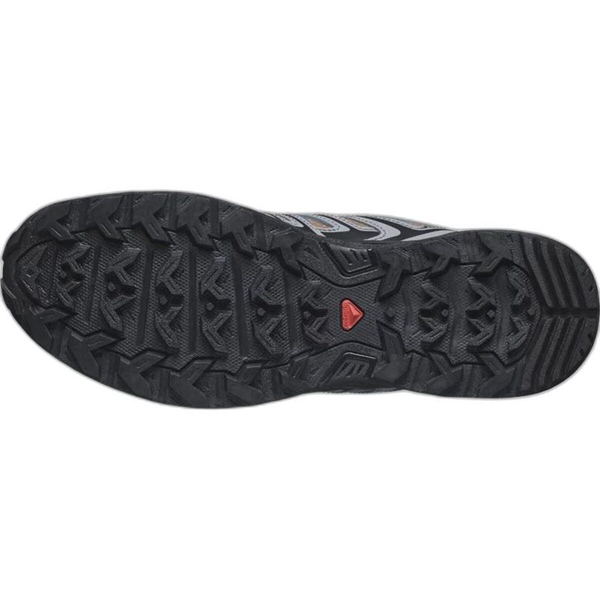 Încălțăminte Sport Bărbați Salomon L41669800 Maro