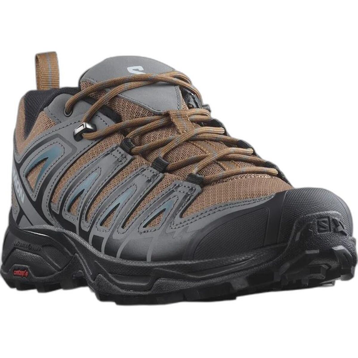 Încălțăminte Sport Bărbați Salomon L41669800 Maro