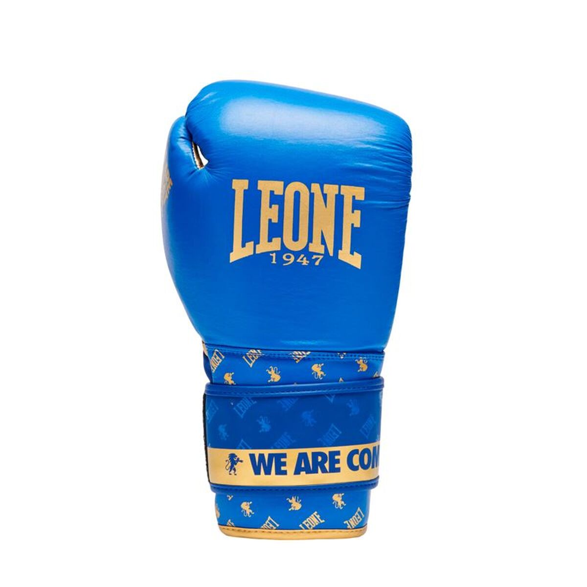 Mănuși de box Leone 1947 DNA