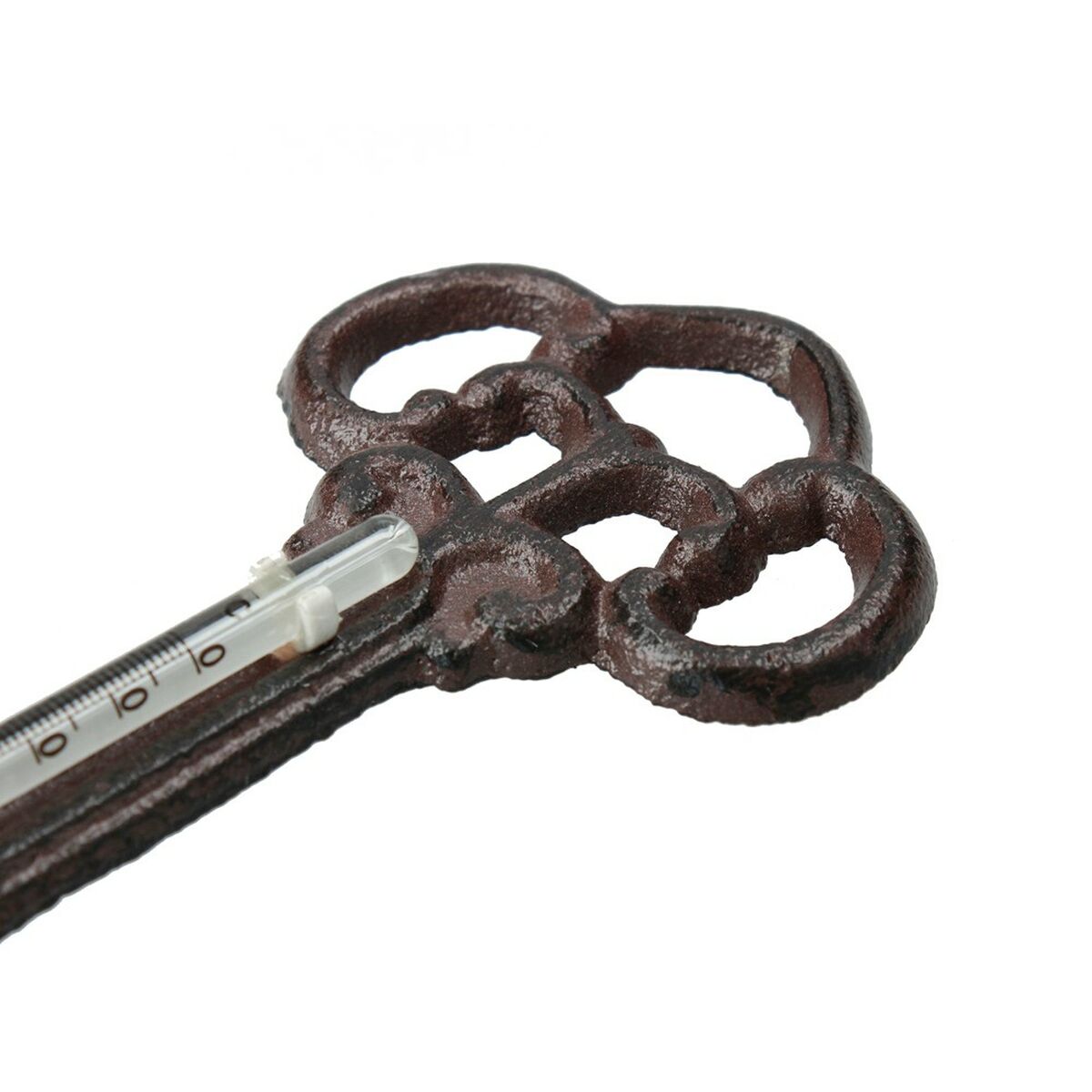 Termometru ambiental Ferrestock Forjare