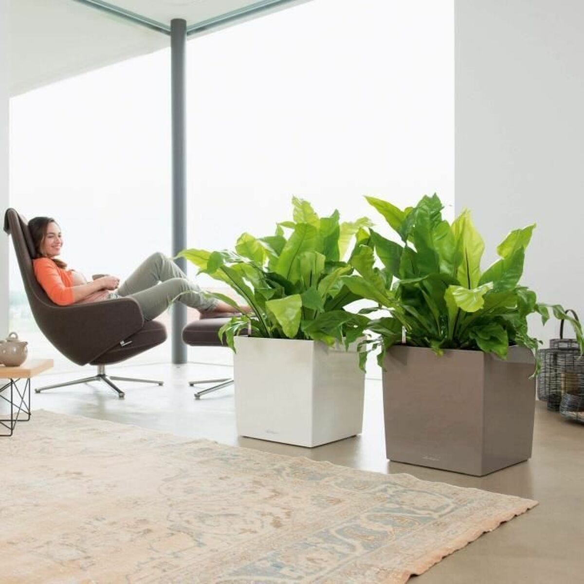 Ghiveci cu auto-udare Lechuza Alb 40 x 40 cm polipropilenă Plastic