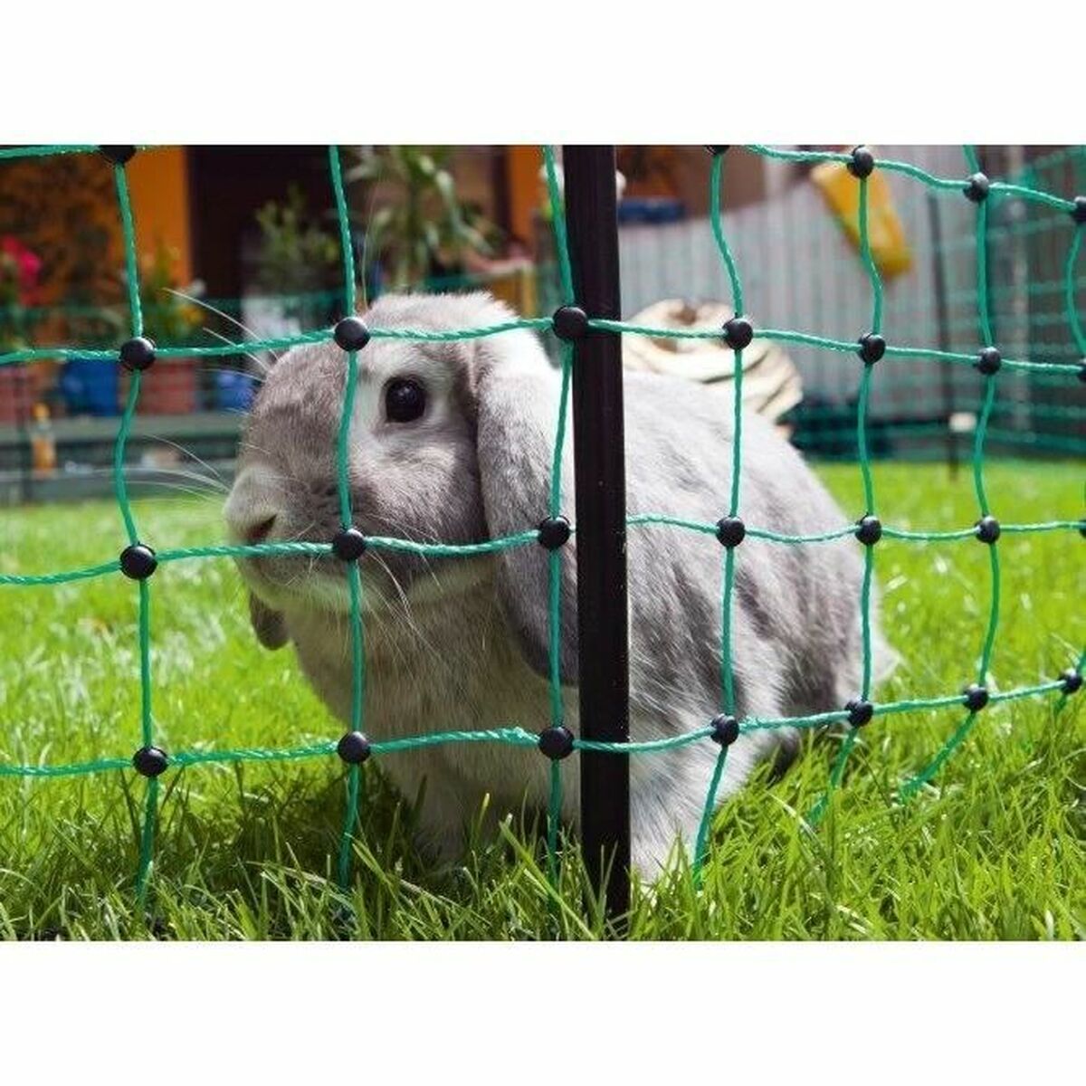 Plasă de siguranță pentru animale de companie Kerbl Verde