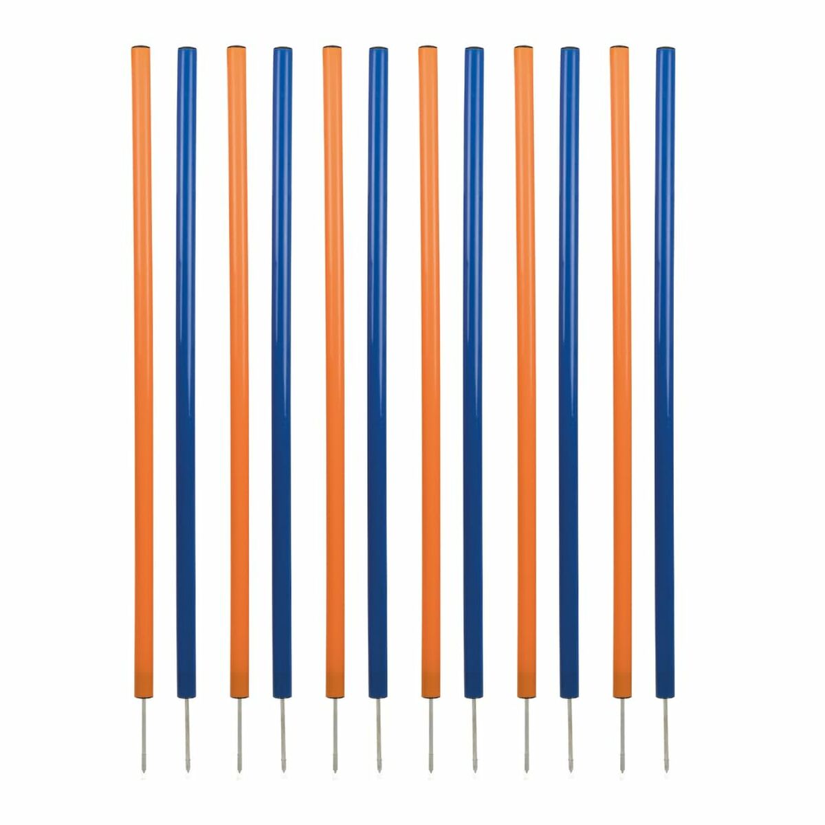 Jucărie de antrenament Trixie